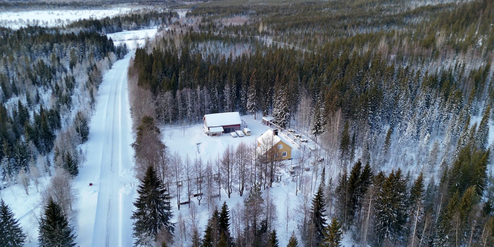 dogcamp